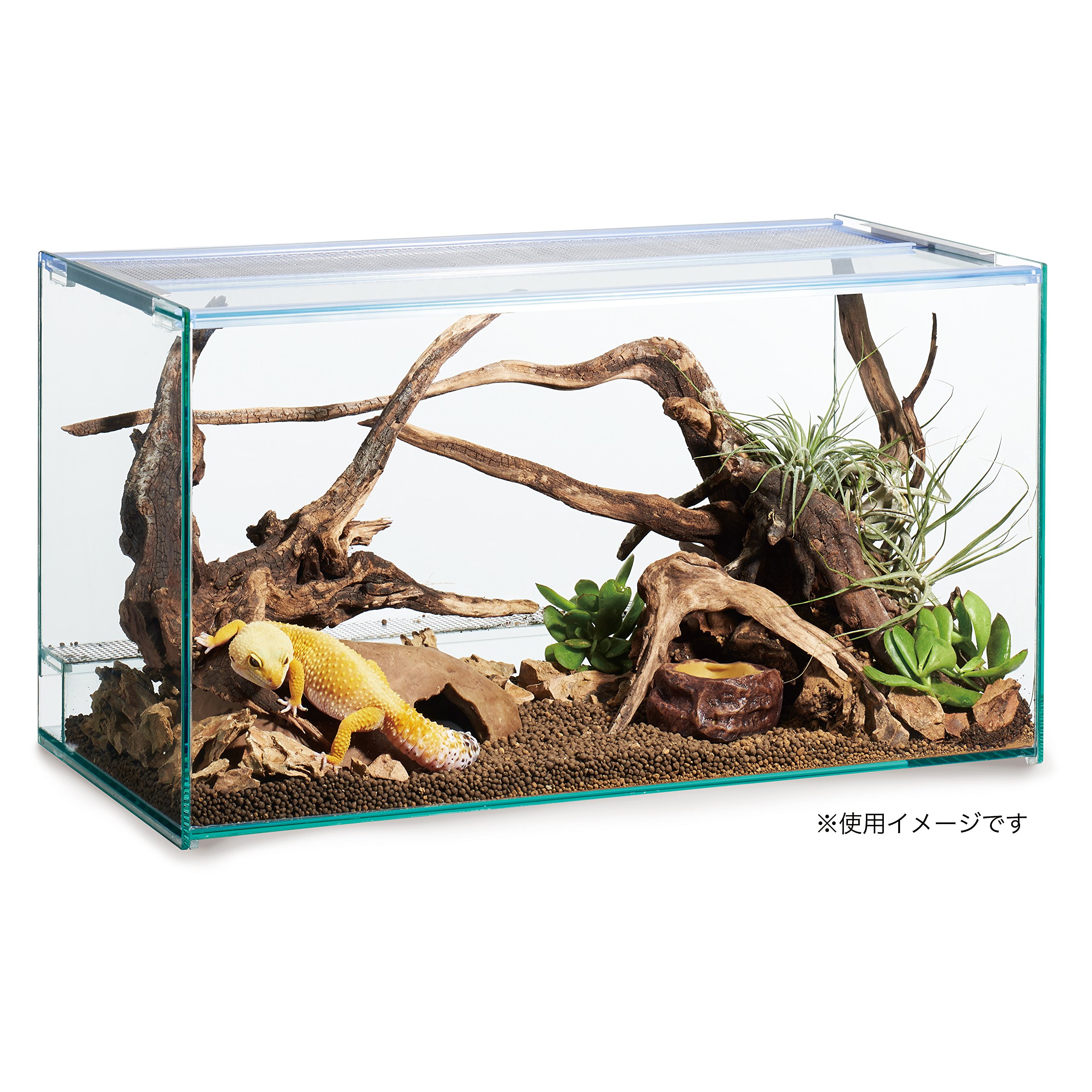 Amazon | GEX EXOTERRA デザートソイル 10kg 爬虫類飼育用ソイル 消臭